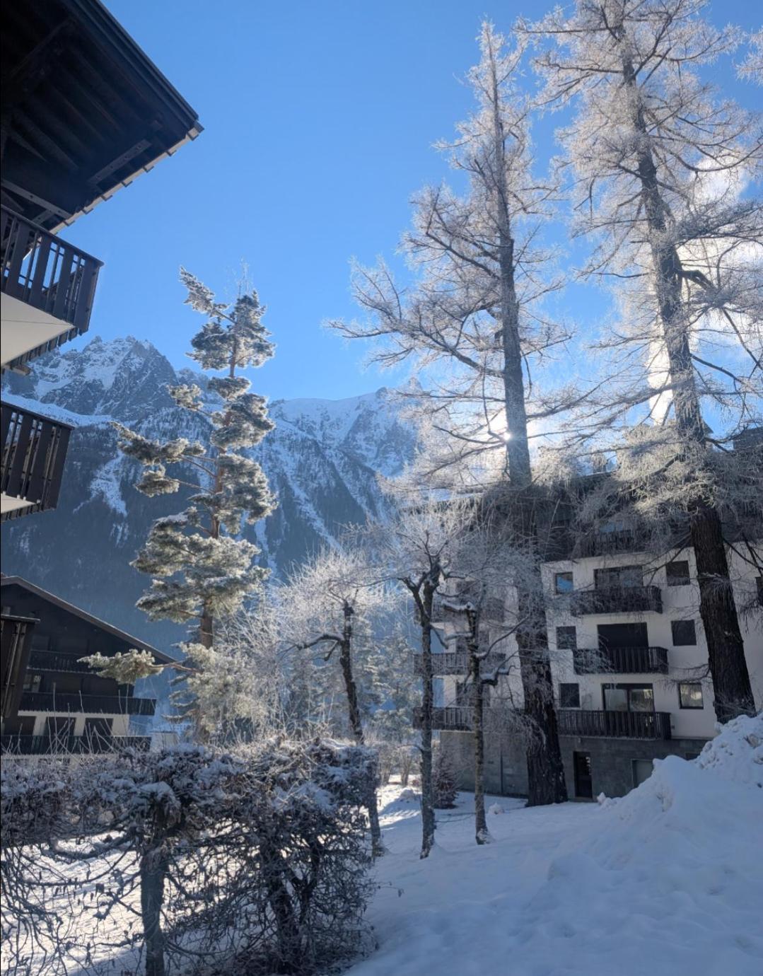 Au Petit Bois Appartement Chamonix
